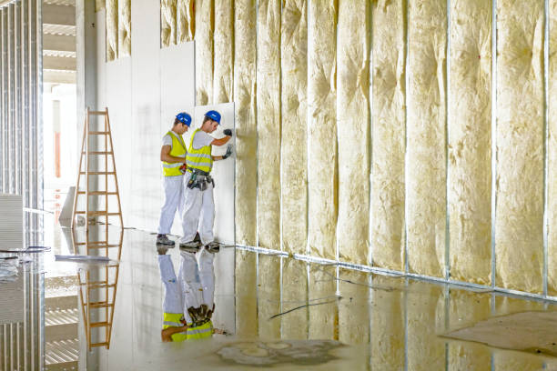 Best Attic Insulation Near Me  in USA